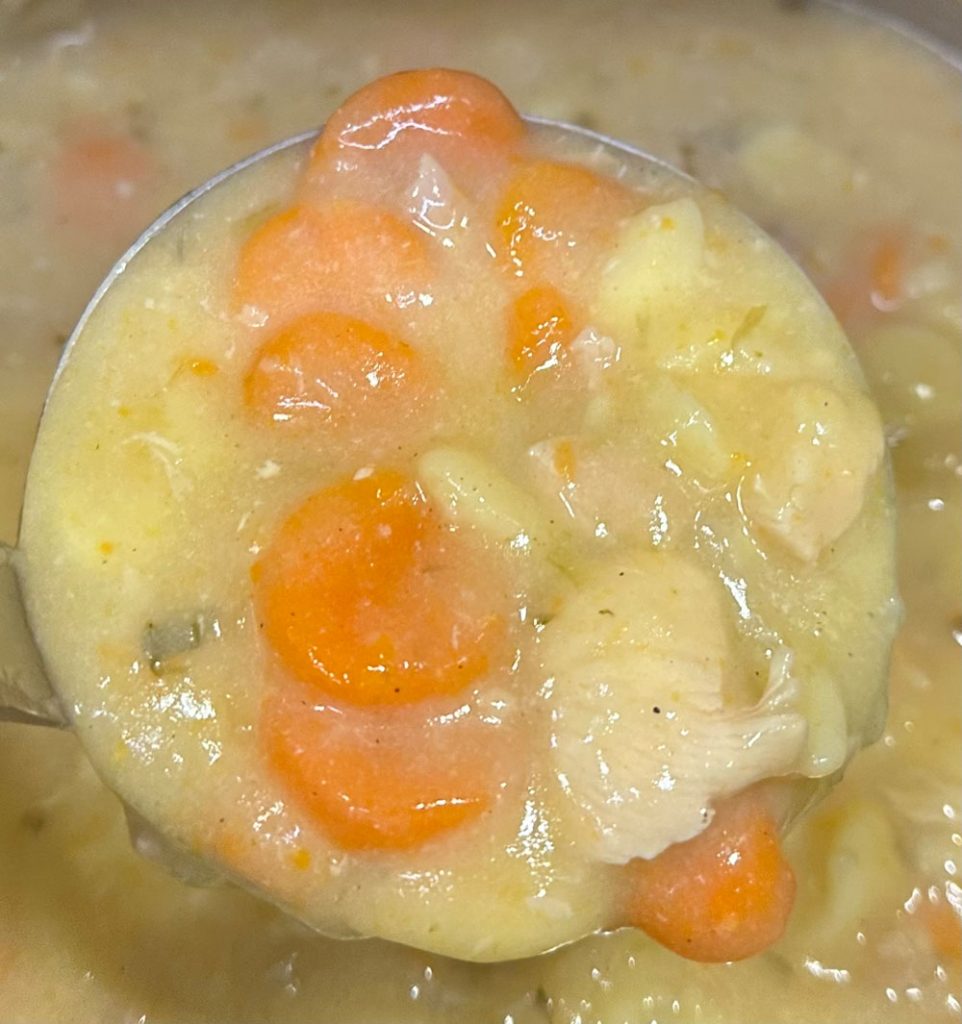 chicken dumpling soup